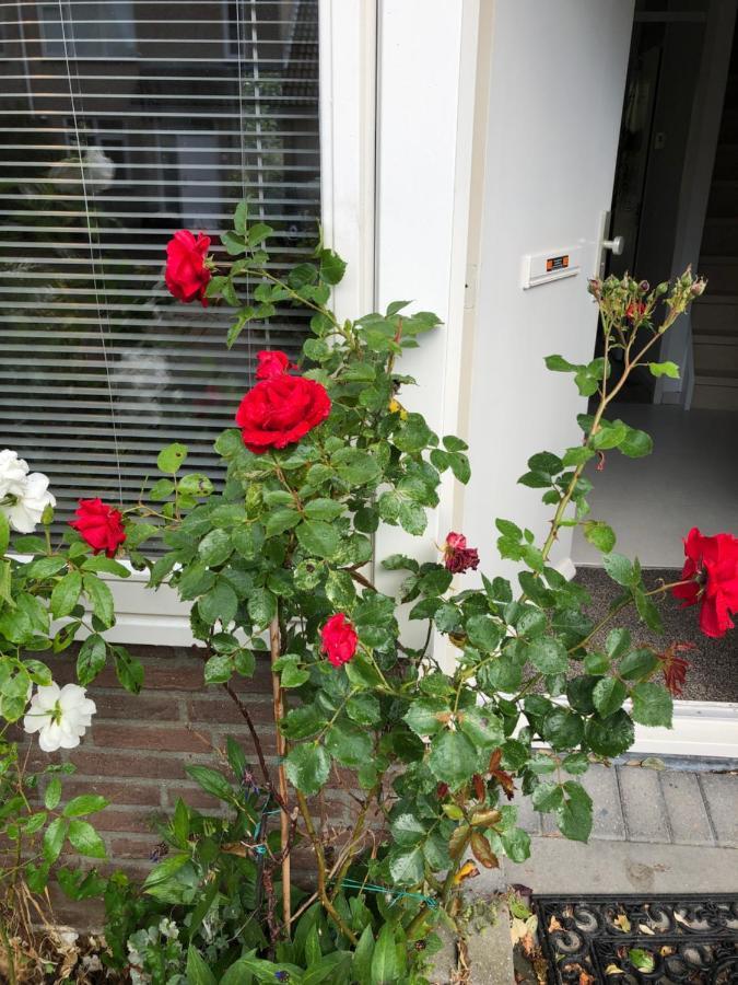 Vakantiewoning In Middelburg Zeeland Esterno foto